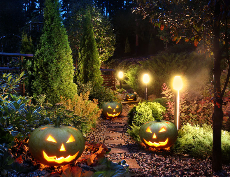Halloween Lighting Deals and Discounts for 2024